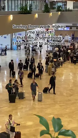 Hiraya Manawari ✨ #tourism #fyp #FA #aviation 