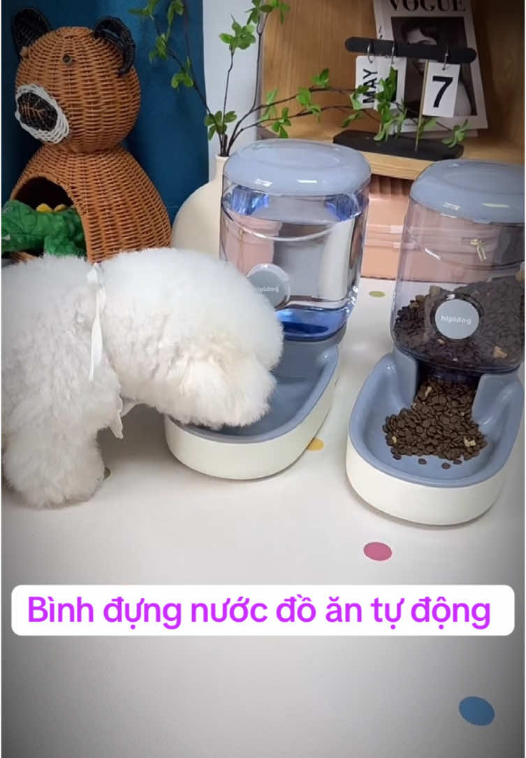 Đi làm cả ngày không lo Boss đói và khát vì nhờ có bình đựng thức ăn và nước uống này này #binhnuocdidongchomeo #binhthucannuocuongchomeo #yeuchomeo #chamsocthucung #xuhuong #viral  @Happy.Pets  @Happy.Pets  @Happy.Pets 