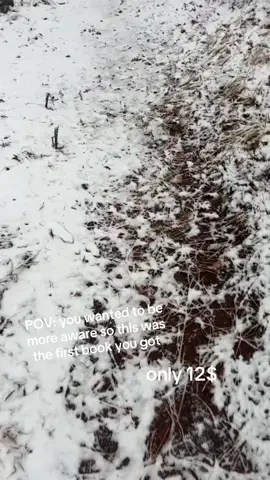 This book holds so much important information! give it a try.  #fyp #fypシ #foryou #tiktok #viral #tiktokshop #deal #parati #tts #48lawsofpower #robertgreene #read #manipulation #information 