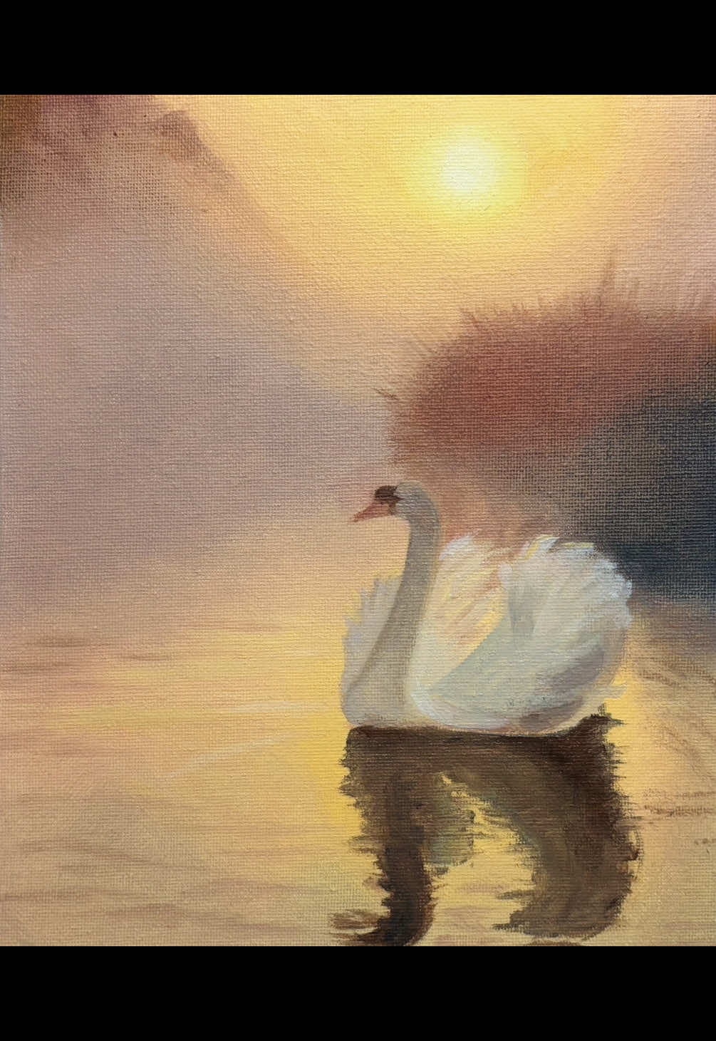 In the morning I was inspired to draw a swan, in the evening I drew it😭 Oil painting on A4 size canvas paper✨  #oilpainting #swan #painting #art #drawing #artist 