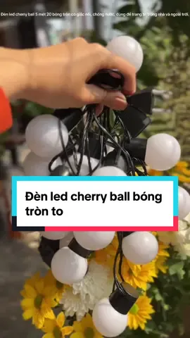 Đèn led bóng tròn to 5m 20 bong, chống nước, có giắc nối. Dùng để trang trí nhà cửa, trang trí quán cửa hàng#denled#denledoto#dentrangtri#dentrangtritet#tet#tet2025♥ 