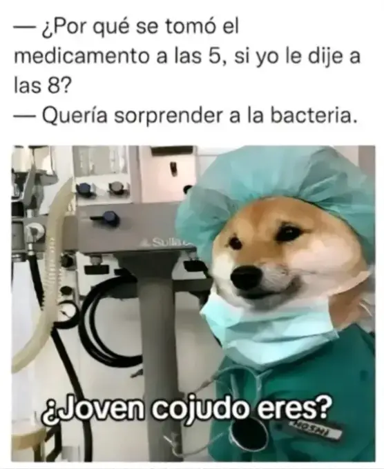 Inteligente no?😎 #xd #peruvian #fyp #memesperu #peru 
