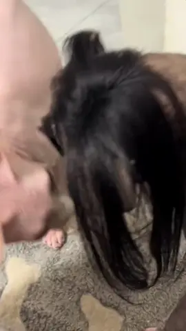 Hết hồn bây ơi#meo #haihuoc #fyp 