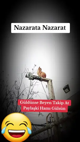 #komedi #komedia #komediya #komedian #kamediya #kamedia #komedixana #komedixana😂 #comedixana #comedi #comedyvideo #comedy #komedixanatiktok #komedixanatiktokailəsi #komeditiktok #komediyaxana #komediya #enver  #enverabbasov #hesrethesretov #mensurserif #mənsurşərif #mensur #müşfiqşahverdiyev #musfiqsahverdiyev #nicatrehimov #nicatrəhimov #ilkinmisgerli #ilkinmisgərli #melekkazimova #mələkkazımova #melek #mələk #zarinaqurbanova #zarina #müşfiq #musfiq #ferda #xeyalequliyeva #xəyaləquliyeva #xeyale #xəyalə #hamlet #buglamahamlet #hamletbuglama #buglama #buğlama #buğlama😂 #qılman #qilman #gulmeli #gulmeli_videolar #gulmelivideolar #gülmeli #gülməli #gülməlivideolar #prikol #prikollar #zarafat  #комедия #qizlar #qızlar #qiz #qız #qizlarinmekani #qizim #qızlargramm #qızım #viralvideo #viraltiktok #virall #viral_video #viralvideos #viralditiktok #tiktok #tiktokviral #tiktoknews #tiktoker #trend #trendy #trends #tredding  #trendingvideo #trendingsong #trendmusic #trendingtiktok #tiktoktrend #tiktoktrending  #fy #fyp #fypシ #fypシ゚viral #fypage #fypdongggggggg #fypp #fypdong #fypシ゚  #fyppppppppppppppppppppppp #foryou #foryoupage #foryourpage #foru #fortnite #foruyou  #foryoupageofficiall #foryoupage❤️❤️ #movie #film #animals #funny #funnyvideos #funnyvideo #funnymoments #funnytiktok #funnyy #funnymemes #funnyanimals #TikTokFashion #fypp #fup #fupシ #fupage #fur #furyou #funnyvideos #funnyvideo #fypdong #fyppp #fypシ゚ #fypgakni #cat #cats #catsoftiktok #catlover #cattok #catlovers #mouse #mousse #kedi #fare #криса #мышь #кот #котик #коты 