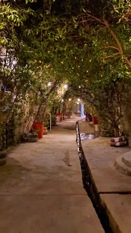 اهل سوق الشيوخ منو يعرف هلمكان وين؟  #تصويري📷 #تصوير #تصويري #سوق_الشيوخ #سوك #منظر 