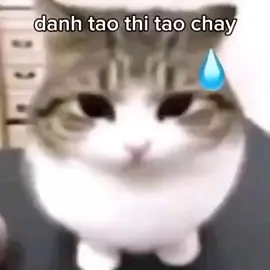 tình nghĩa anh em bấy lâu nay#xuhuong #meme 