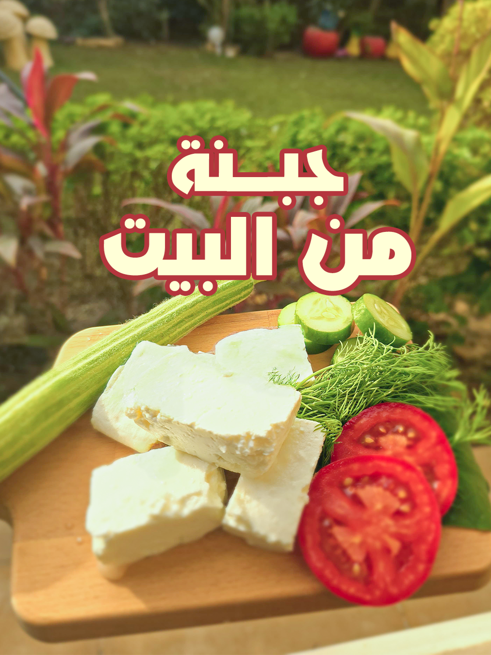 يلا نعمل الجبنة فى البيت بأسهل طريقة 🥰#نجلاءالشرشابي