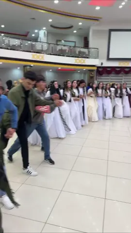 💫Kurdish•Wedding•Dance #kürthalay #Kurdishwedding #bagiye 