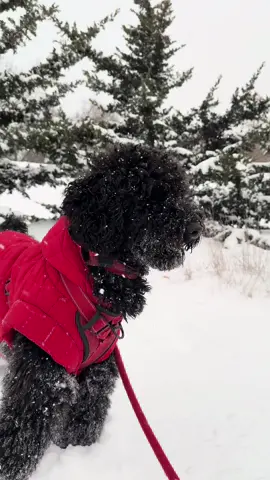 Yaaaaaaa #foryou #paratiiiiiiiiiiiiiiiiiiiiiiiiiiiiiii #fpy 