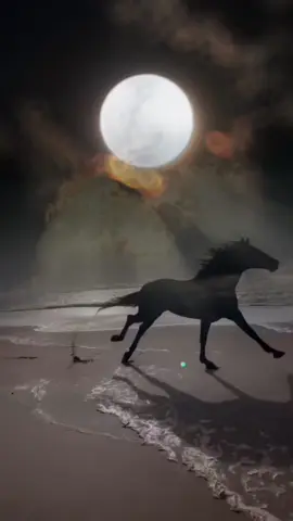 #CapCut Wind Of Change • Scorpions #horsesrunninginthenight #beautifulhorses #horsesrunningonthebeach #runninghorses #runfree #horsevideo #cptnkvatch 