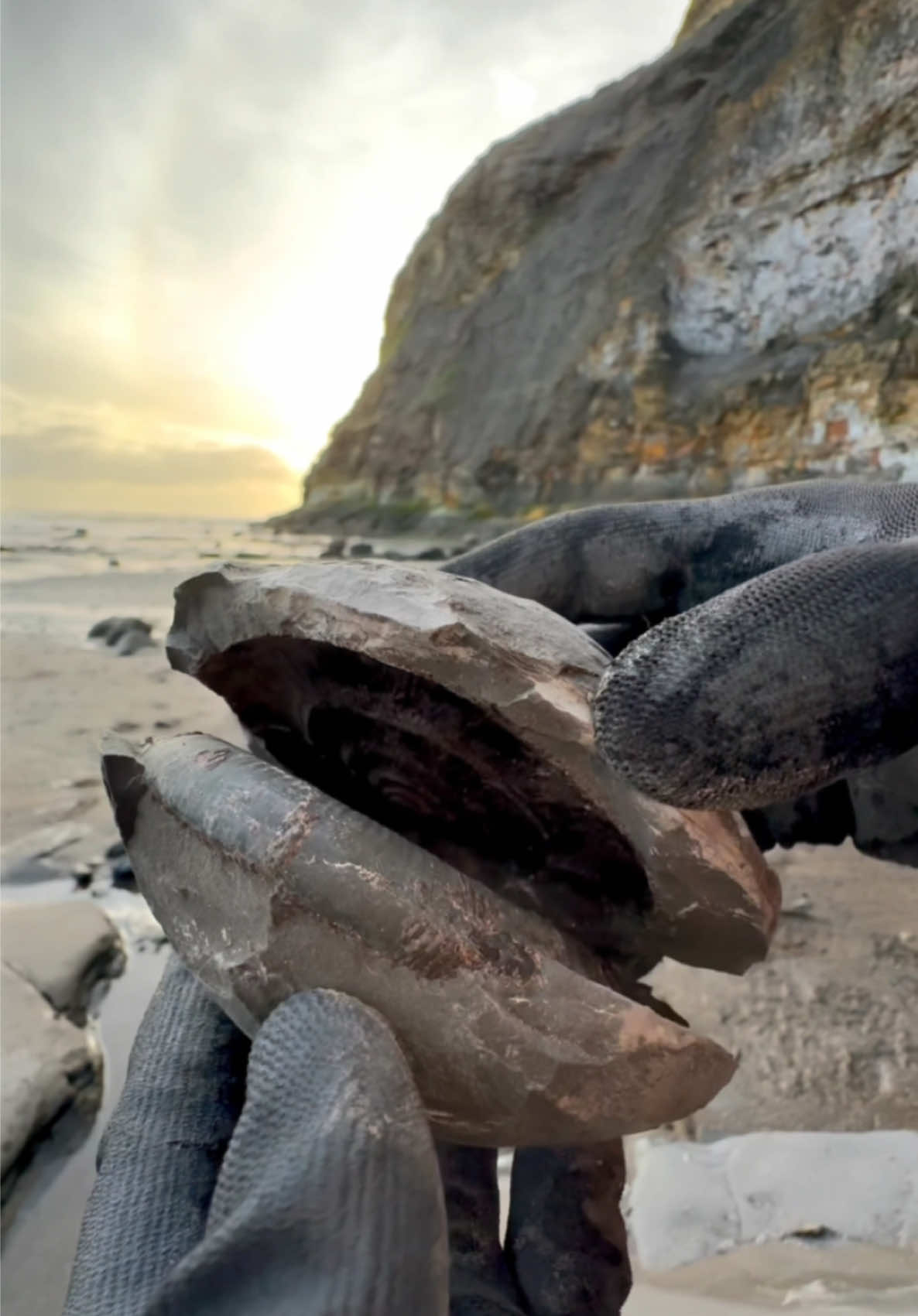 Here is an ammonite rock that we found in amongst the beach pebbles and opened up on the beach with a geology hammer 🏝🌊 Inside, a stunning Dactylioceras ammonite from the Jurassic 😍🦑 This ammonite is around 180 Million Years Old 💀 While coastal foraging we also found a perfect Belemnite Squid fossil 🏝 Thank you for supporting our page! 🐊 #natural #nature #fossil #fossils #ancient #animals #art #ammonite #ammonites #dinosaur #scientist  #minerals #paleontology #whitby #geologist #dorset #geology #charmouth #jurassic #yorkshire #fyp