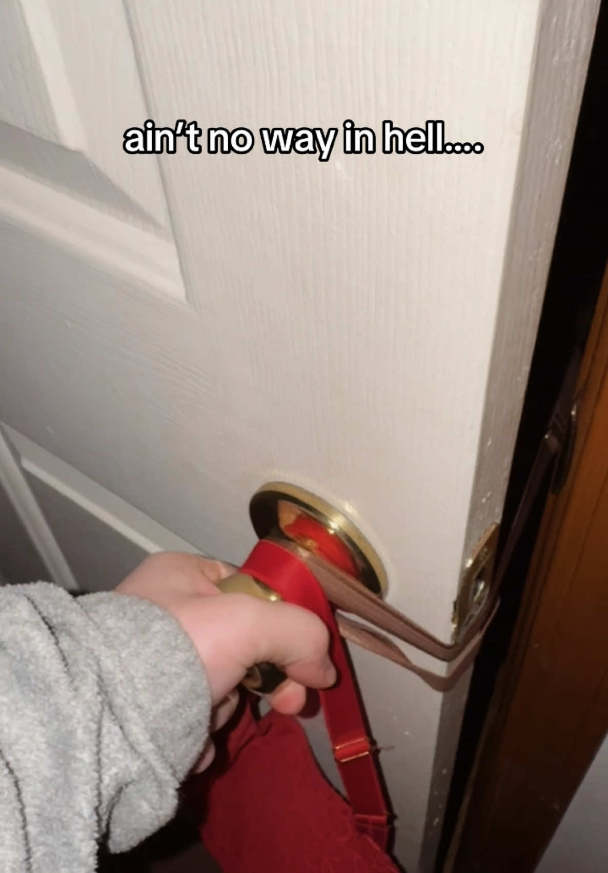 why he waggin his tail this ain’t no fun and games boy #fyp #foryou #foryoupage #dog #funny #stuck 