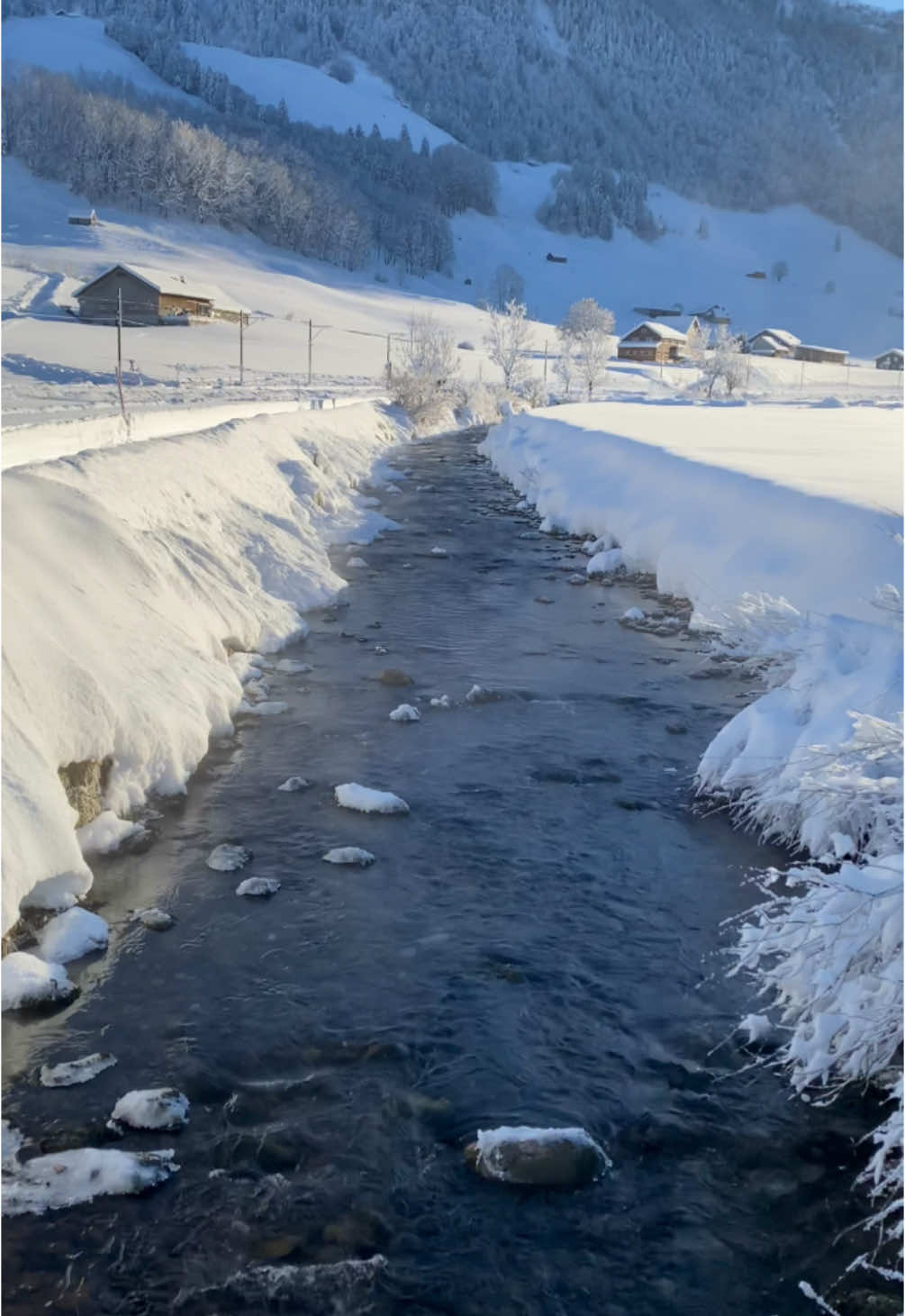 Winter in Switzerland  #switzerland🇨🇭 #myswitzerland #inlovewithswitzerland #icecold #snow 