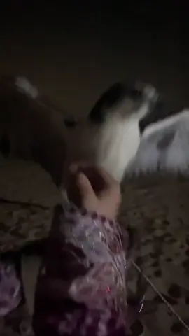 #ماشاء_الله #❤️ 