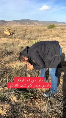 ياو ربي هو الموفق  راسي حبس كي شت النتائج 