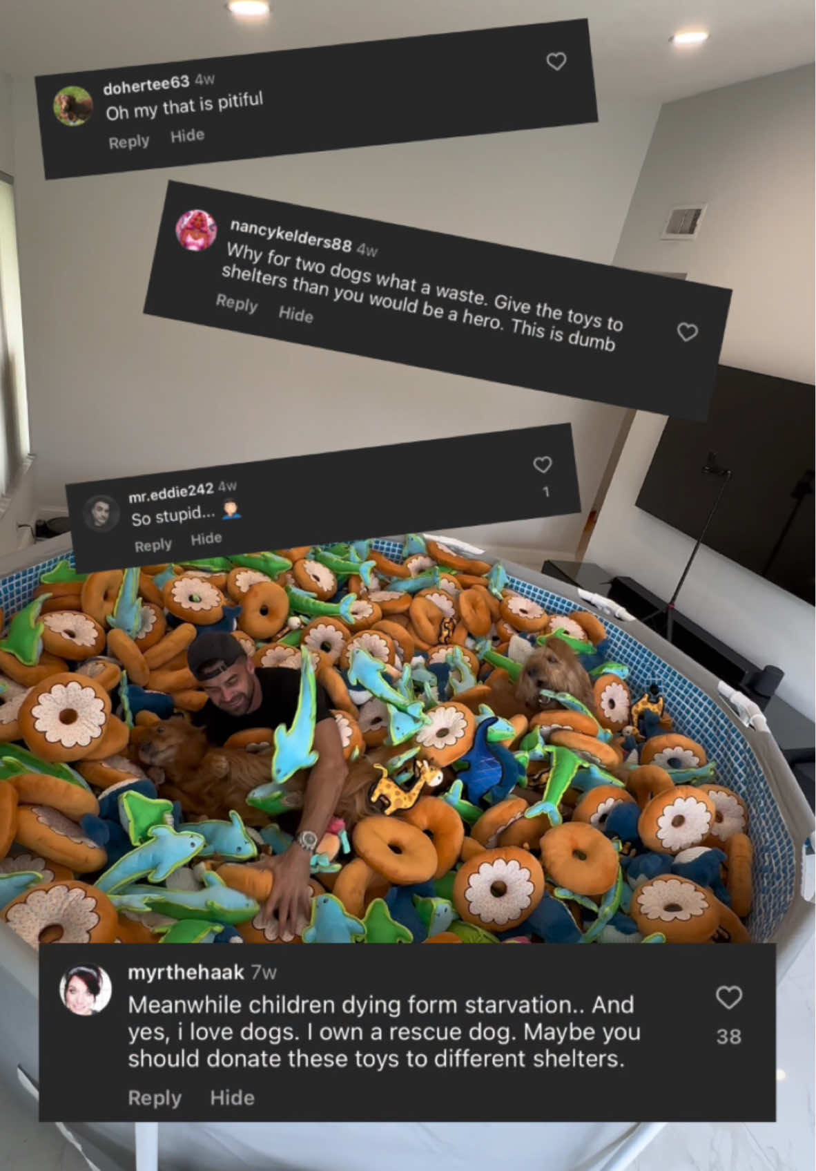 Anytime I do something nice for my dogs, I get these comments… Might as well use them for your entertainment. If you’re looking to adopt or foster, Broward County Animal Care has a ton of pets in need! 🐻🫶🏾 #dogdad #animalshelter #giveback #petfluencer 