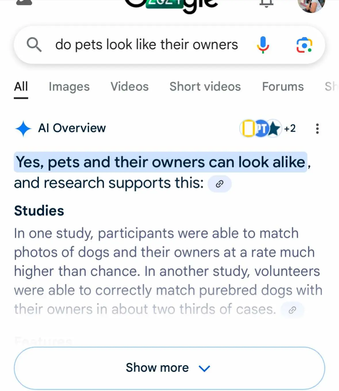 #fyp #bunnymom #bunnylife 