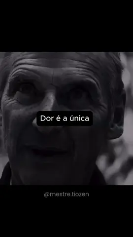 A dor ensina o que o conforto esconde 🦅 #motivacao 