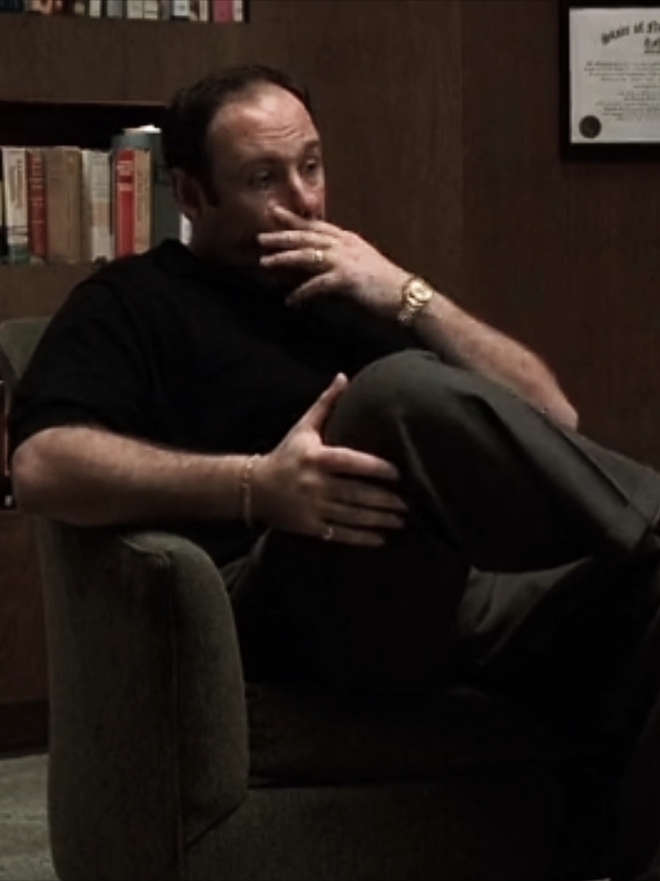 #sopranos #клансопрано #tonysoprano #tonysopranoedit  #rek #recommendations 