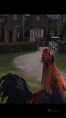 Pov; Güne başlama motivasyonum