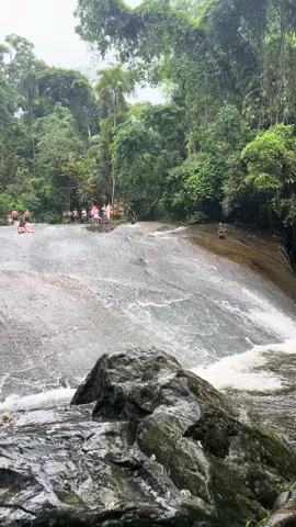 Dogs of Brasilll #cachoeiradotobogã #paraty #waterfall #brasil #riodejaneiro