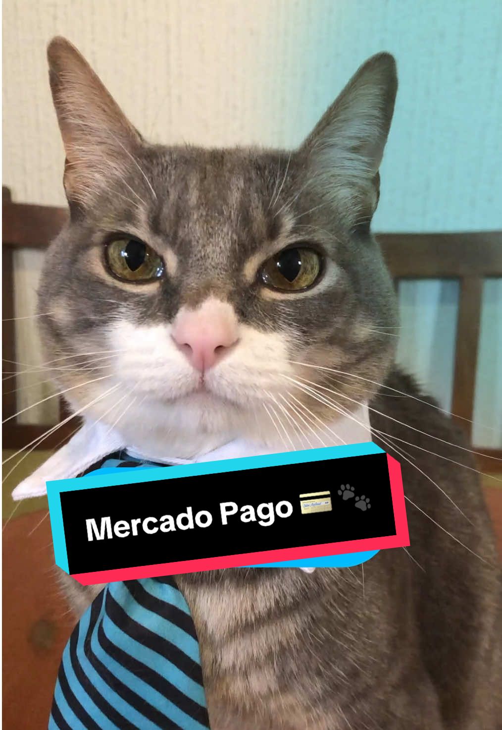 😸Fui el más listo de la familia por que hice crecer mi dinero del día a día hasta 15% en mi cuenta digital @mercadopago.mex  Sigue mi ejemplo y sé un humano con dinero extra todos los días