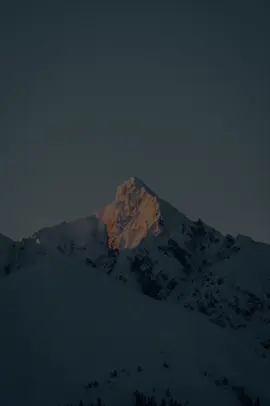 #سعد_الغامدي #استغفرالله♥️ #الله 