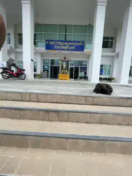 ผมไม่โทษใครผมโทษตัวเองผมพลาดเอง😞#ความผิดพลาดครั้งใหญ่ #ศาลเเละเยาวชนจังหวัดสุรินทร์ #สังขะสุรินทร์ #ฟีดเถอะขอร้อง #เลิกดื้อได้เลิกเลยจะดีที่สุดครับก่อนมันจะพลาดทำงานเก็บตังดีที่สุด✌🏻✌🏻