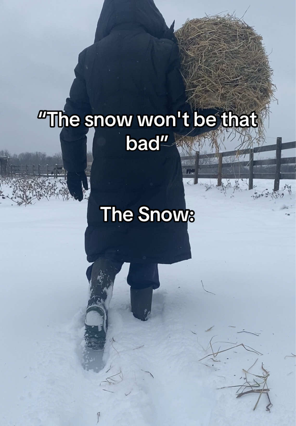 I took those warm days for granted😭😭 #fyp #foryoupage #farm #snowstorm2025 #snow #blizzard 