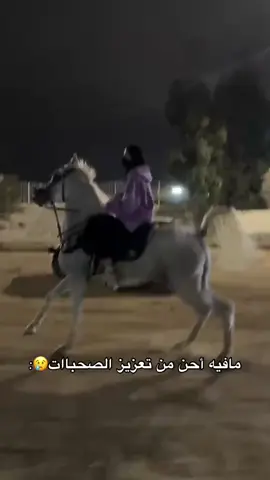 روحححيييي😞❤️❤️❤️❤️❤️ #ماشاءالله_تبارك_الله #الطائف #الردف #خيل #جنى_العتيبي🐎 