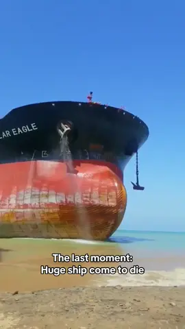 Huge ship come to die 😔 #ship #vessel #scrapyard #graveyard #beaching #theend 