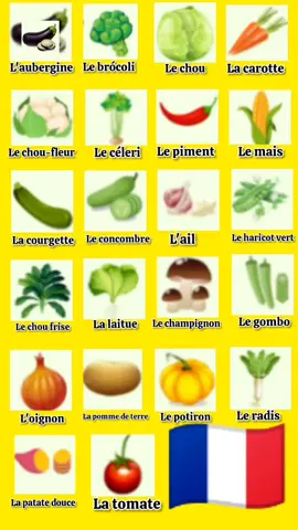 #francaise🇨🇵 #فرانسا🇫🇷 #france🇫🇷 #paris #французькамова #فرانسوي_زده_کړه #فرانسة🇫🇷_وتونس🇹🇳 #فرانسا_ايطاليا_بيلجكا_المغرب🇨🇵🇮🇹🇲🇦🇩🇪 #frans #français #français #apprendre #apprendre_le_français @𝐋𝐞𝐚𝐫𝐧 𝐅𝐫𝐞𝐧𝐜𝐡(🇫🇷) 