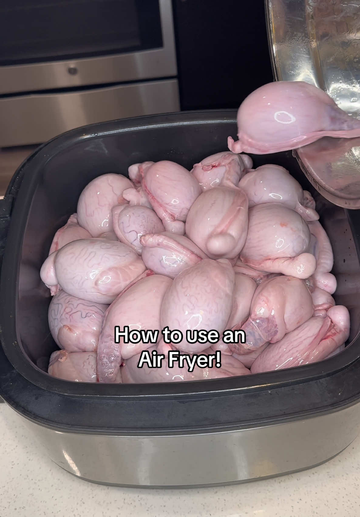 How to cook with an air fryer! #airfryer #Recipe #howto #fyp #trending #viral #foryou 