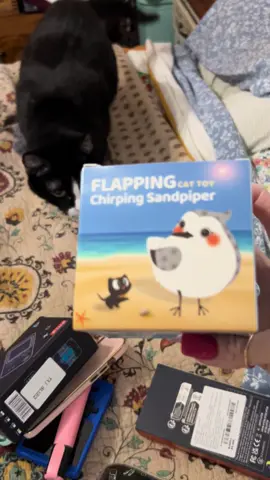 Our cats absolutely love these toys. Cats of any age need toys to keep them busy!! #catsoftiktok #kittensoftiktok #PetsOfTikTok #tiktokshop #potaromacattoys 