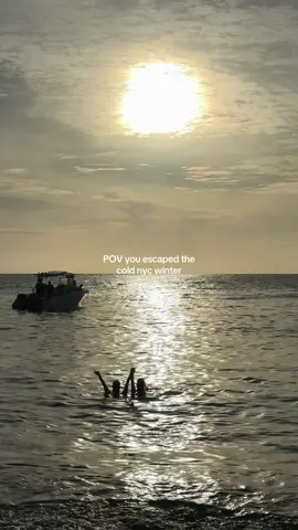 Paradise