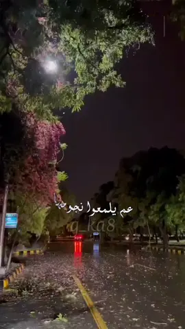 فضل شاكر - طلت الشتوية