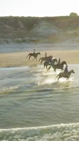 Beautiful globetrotters, we know many of you are back to work this week, so as we dive into 2025, remember: the best is yet to come! 🏇🌍✨ Incredible adventures, phenomenal horses, beautiful people, and soul-stirring moments are all waiting for YOU! The world is full of Globetrotting magic—let us take you there! So tell us below: Where are you Globetrotting in 2025, or which ride is at the top of your wish list? #weareglobetrotters #horseridingholidays #horseridingholidays 