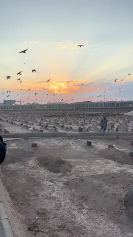 Salah satu hikmah besar meninggal di tanah suci adalah banyak orang shalih yang akan mendoakannya dan berkahnya orang- orang shalih di tanah suci tersebut, baik yang sudah meninggal maupun masih hidup. Rasulullah Shallallahu ‘alaihi wa sallam bersabda, مَنْ اسْتَطَاعَ أَنْ يَمُوتَ بِالْمَدِينَةِ فَلْيَمُتْ بِهَا فَإِنِّي أَشْفَعُ لِمَنْ يَمُوتُ بِهَا “Barangsiapa yang ingin mati di Madinah, maka matilah disana. Sesungguhnya aku akan memberi syafa’at bagi orang yang mati disana”. [HR Ahmad & Tirmidzi] Akan tetapi meninggal di sini bukanlah meninggal yang diusahakan sendiri misalnya sengaja membuat dirinya sakit di Madinah, sengaja kecelakaan di Madinah atau malah bunuh diri di tanah suci, akan tetapi kematian yang alami sesuai dengan takdir Allah. Hendaknya ia sabar hidup di kota Madinah dengan segala cobaannya. #madina #madinah #makambaqimadinah #makkahmadinah🕋 #saudiarabia🇸🇦 