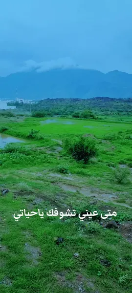 مع المطر تزدان الأرض جمالا  ومع وجود من تحب تزدان الحياة بهاءً 