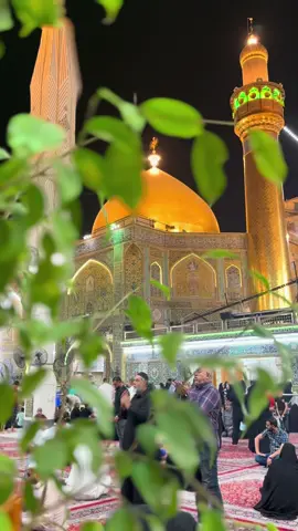 أنتَ العلي الذي فوقَ العُلا رُفعَ 💚🍃🥹 #imamali #najaf #makkah #foryou #explore 