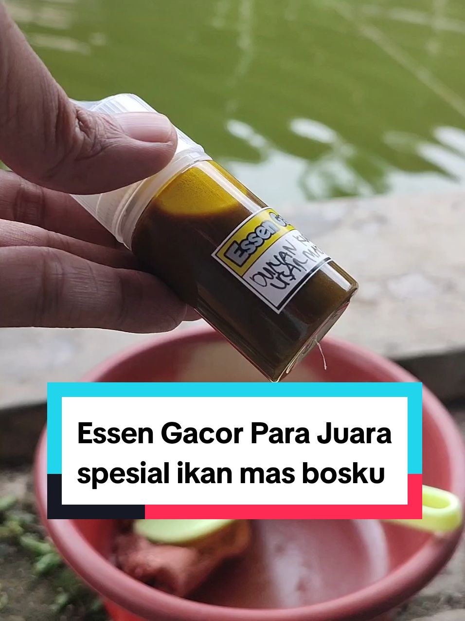 Essen Gacor andalan para juara mancing ikan mas, Essen oplosan aroma durian kweni usar madu, top banget 👍✅  #essenikanmas #essenmancing #essenmancingikanmas #essengacorikanmas #essen gacor galapung mas #essen #essendurian #essenkweni #essenusarmadu #essenantiboncos 
