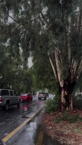 #CapCut#fyp #viral #explore#الشعب_الصيني_ماله_حل😂😂 #اكسبلور 🌬️⛈️ 