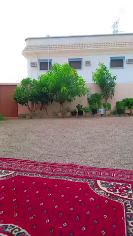 #اكسبلورexplore #إكسبلور #สโลว์สมูท #wedding #السعودية🇸🇦 #نجران_الان #ابوهادي 