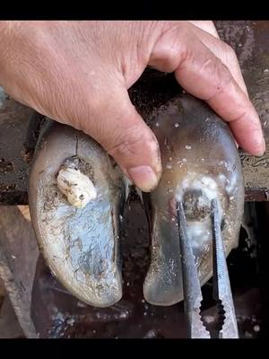 In this case, we must pay attention to it.