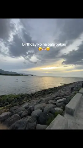 Happy birthday to me!!🥳 #LearnOnTikTok 