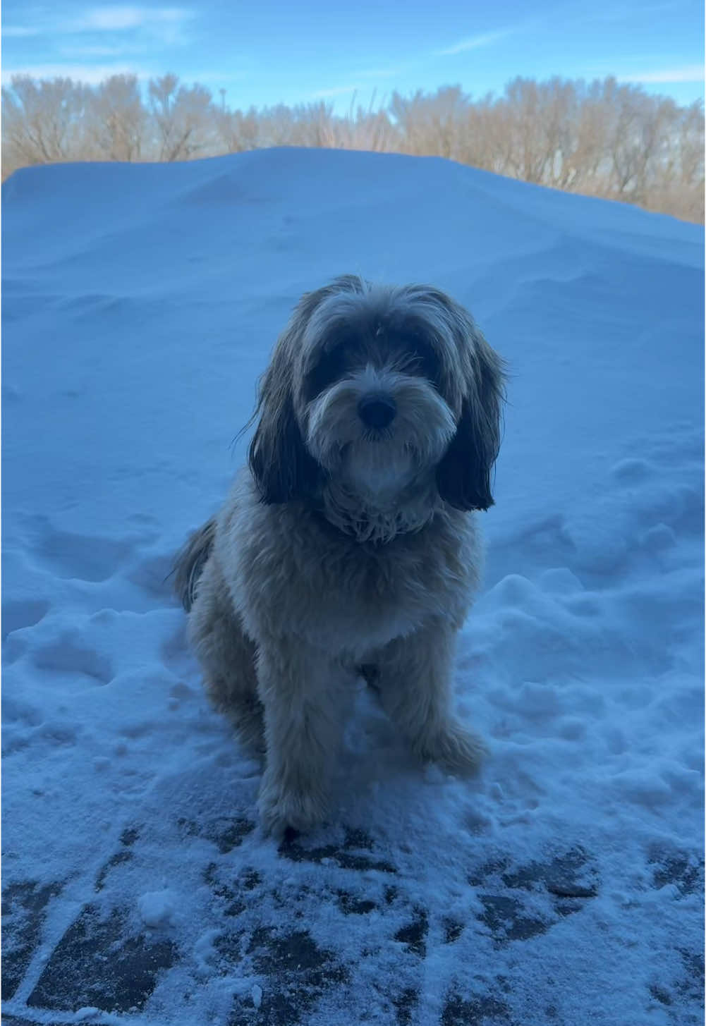 Worst snow storm in 30 years ❄️