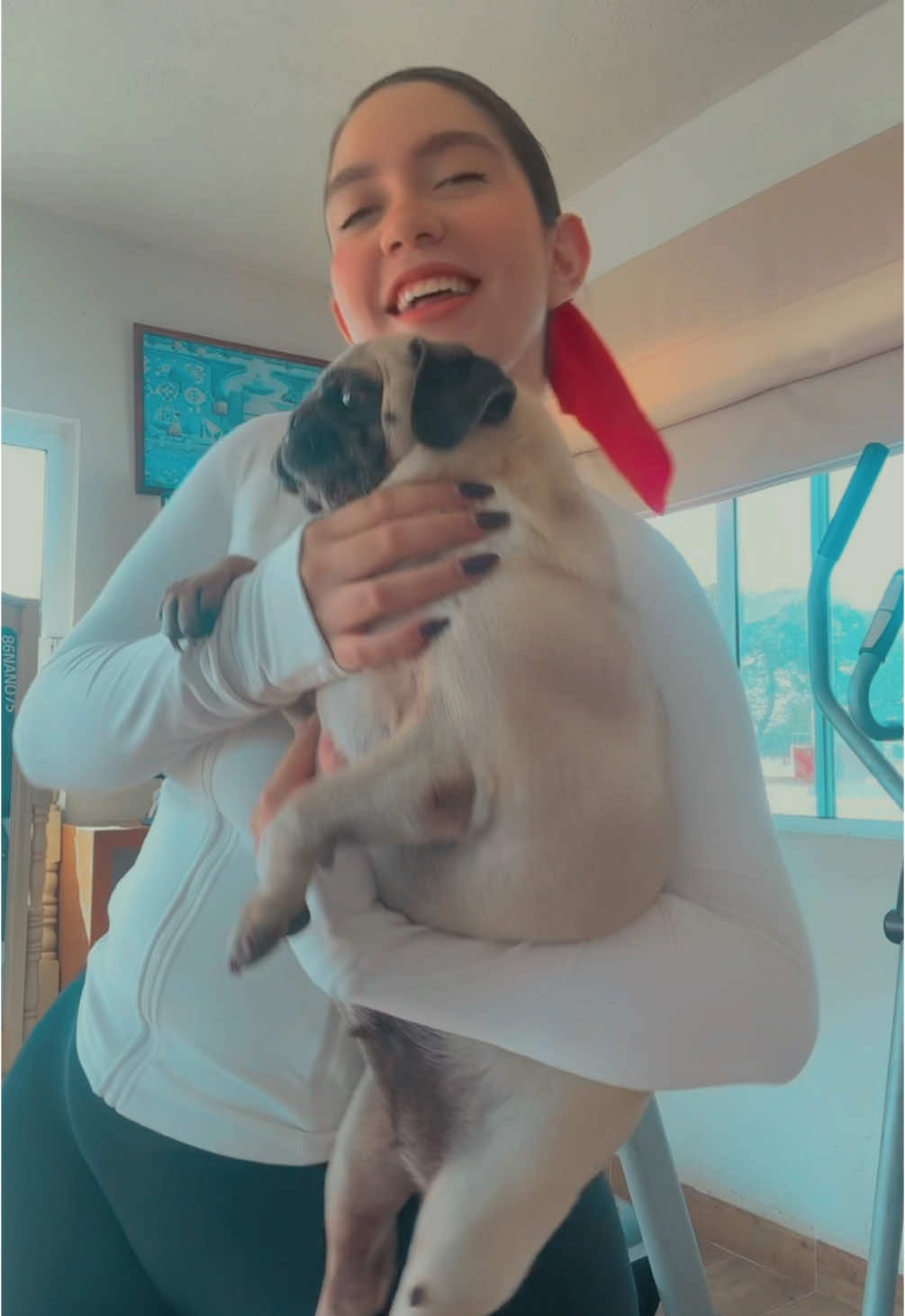 Ninguna perrita fue obligada a grabar nada🤣 #draft #pug 