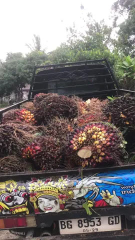 Senang kitaa syukuri susah kita nikmati 2025 full senyum😂#fyp 