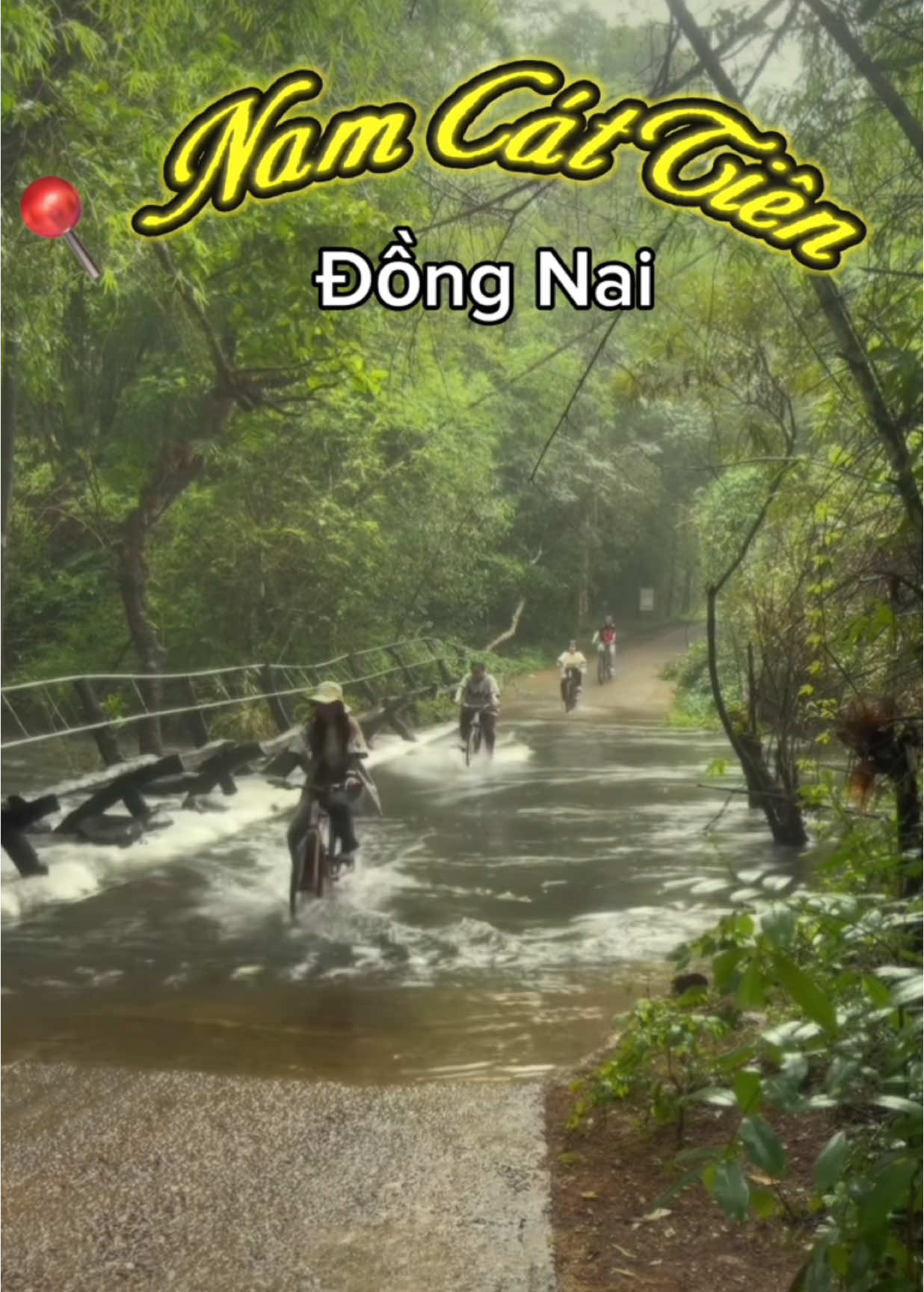 🌿 𝐍𝐚𝐦 𝐂𝐚́𝐭 𝐓𝐢𝐞̂𝐧 - Đ𝐨̂̀𝐧𝐠 𝐍𝐚𝐢 🇻🇳 Nam Cát Tiên, khu rừng nguyên sinh nằm ở Đồng Nai, là một trong những khu bảo tồn thiên nhiên lớn và đa dạng nhất Việt Nam. Với hệ sinh thái phong phú và không gian yên bình, Nam Cát Tiên không chỉ thu hút những người yêu thiên nhiên mà còn là điểm đến lý tưởng cho những ai muốn khám phá vẻ đẹp hoang sơ của rừng rậm và hệ động thực vật độc đáo. 🌳 𝐕𝐞̉ đ𝐞̣𝐩 𝐭𝐡𝐢𝐞̂𝐧 𝐧𝐡𝐢𝐞̂𝐧 𝐡𝐨𝐚𝐧𝐠 𝐬𝐨̛ Khu rừng Nam Cát Tiên sở hữu hệ thực vật đa dạng, những cây cổ thụ cao lớn và những con đường mòn xuyên qua rừng, mang đến cho du khách những trải nghiệm đầy thú vị. Đặc biệt, đây cũng là nơi cư trú của nhiều loài động vật quý hiếm, trong đó có những loài đang được bảo vệ như tê giác, voi và các loài chim đặc biệt. 🚶‍♂️ 𝐊𝐡𝐚́𝐦 𝐩𝐡𝐚́ 𝐯𝐚̀ 𝐭𝐫𝐚̉𝐢 𝐧𝐠𝐡𝐢𝐞̣̂𝐦 Du khách có thể tham gia các hoạt động như đi bộ trong rừng, tham quan khu bảo tồn động vật hoang dã, hoặc đi thuyền trên hồ để tận hưởng không gian yên bình, tìm hiểu về hệ sinh thái phong phú. Không gian tĩnh lặng của rừng Nam Cát Tiên là nơi lý tưởng để thả mình vào thiên nhiên, thư giãn và tìm lại sự bình yên trong tâm hồn. 📸 𝐌𝐨̣̂𝐭 đ𝐢𝐞̂̉𝐦 đ𝐞̂́𝐧 𝐭𝐮𝐲𝐞̣̂𝐭 𝐯𝐨̛̀𝐢 𝐜𝐡𝐨 𝐧𝐡𝐮̛̃𝐧𝐠 𝐭𝐢́𝐧 đ𝐨̂̀ 𝐲𝐞̂𝐮 𝐭𝐡𝐢𝐞̂𝐧 𝐧𝐡𝐢𝐞̂𝐧 Nam Cát Tiên là địa điểm lý tưởng để tận hưởng không gian trong lành, khám phá sự kỳ thú của thiên nhiên hoang dã và chiêm ngưỡng vẻ đẹp tuyệt vời của hệ sinh thái nhiệt đới. ---------------------- Quý khách có nhu cầu tư vấn, đặt tour, dịch vụ, vui lòng liên hệ: ⚠️: Lô 1-A7, Khu 7, P.Hiệp Thành, TP. Thủ Dầu Một, Bình Dương 🌐: special.com.vn 📪: Info@special.com.vn ☎️: 091.516.6161 📞 0942 655 498 (Ms.Trinh) 📞0976 432 210 (Ms.Huyền) 📞0964 555 201 (Ms.Trang) #speciallifebd #specialbinhduong #VietNamOi #NamCatTien #DongNai #VietnamNature #ExploreVietnam #NatureLovers #VietnamAdventure #EcoTourism #TravelVietnam #WildlifeConservation #VietnamExploration #NaturePhotography #Happiness