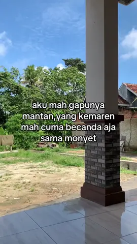 #lampung04insomnia #teratai04insomnia 
